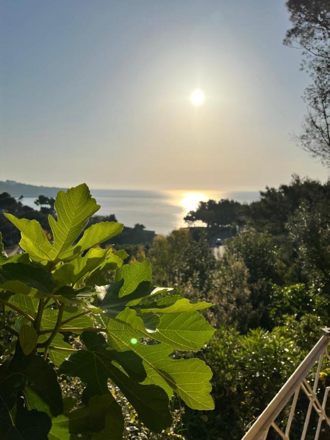 マリッティマ Limonaia In Salentoヴィラ エクステリア 写真